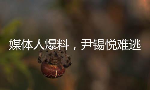 媒體人爆料，尹錫悅難逃牢獄之災(zāi)