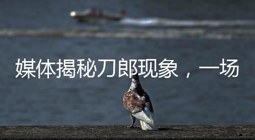 媒體揭秘刀郎現(xiàn)象，一場席卷全國的龍卷風(fēng)