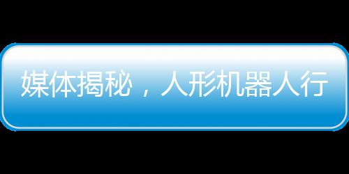 媒體揭秘，人形機(jī)器人行業(yè)面臨價(jià)格戰(zhàn)——如何在激烈競(jìng)爭(zhēng)中謀求生存與發(fā)展