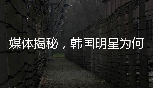 媒體揭秘，韓國明星為何頻頻陷入困擾與壓力——探究背后的深層原因