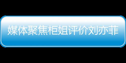 媒體聚焦柜姐評價劉亦菲微胖引發(fā)爭議，被辭退事件深度解析