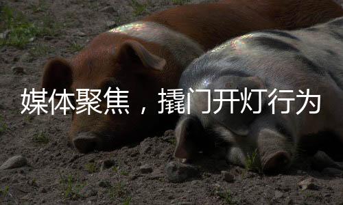 媒體聚焦，撬門開燈行為不是寵客，實(shí)為趕客