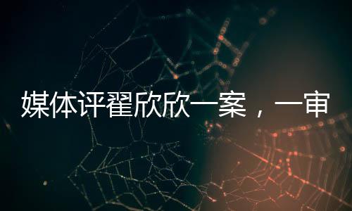 媒體評翟欣欣一案，一審認罪認罰，法律如何衡量情感與正義？