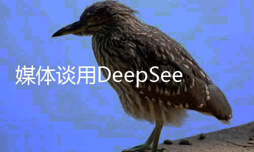 媒體談?dòng)肈eepSeek創(chuàng)收的小公司