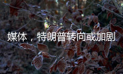 媒體，特朗普轉向或加劇美股拋售