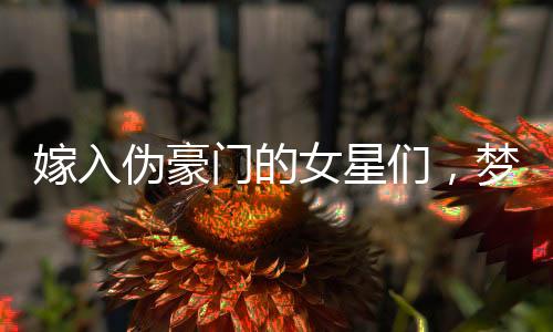 嫁入偽豪門的女星們，夢(mèng)想與現(xiàn)實(shí)間的困局