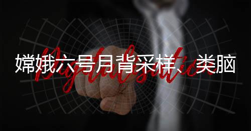 嫦娥六號月背采樣、類腦互補視覺芯片等入選2024中國十大科技進展