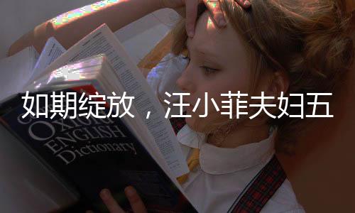 如期綻放，汪小菲夫婦五月婚禮盛大舉行