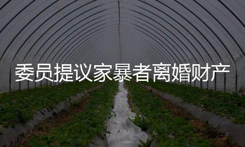 委員提議家暴者離婚財(cái)產(chǎn)分配需少分或不分，引起社會(huì)熱議