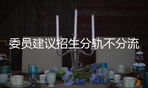 委員建議招生分軌不分流，探討多元化招生路徑與平等教育機(jī)遇