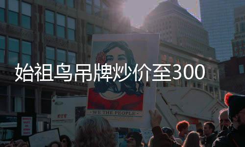 始祖鳥吊牌炒價(jià)至300元，探索時(shí)尚界的珍稀收藏品現(xiàn)象