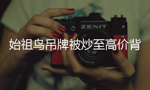 始祖鳥吊牌被炒至高價(jià)背后的故事