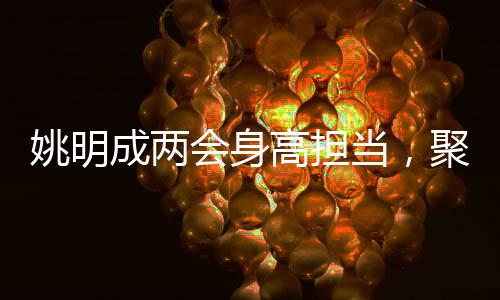 姚明成兩會(huì)身高擔(dān)當(dāng)，聚焦體育界的代表與期待