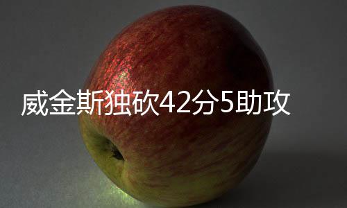 威金斯獨砍42分5助攻2搶斷，創(chuàng)熱火隊史紀錄