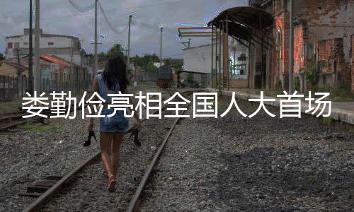 婁勤儉亮相全國人大首場發(fā)布會，展現(xiàn)決心與策略，推動高質量履職的嶄新篇章