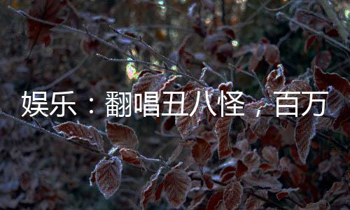 娛樂(lè)：翻唱丑八怪，百萬(wàn)網(wǎng)友破防