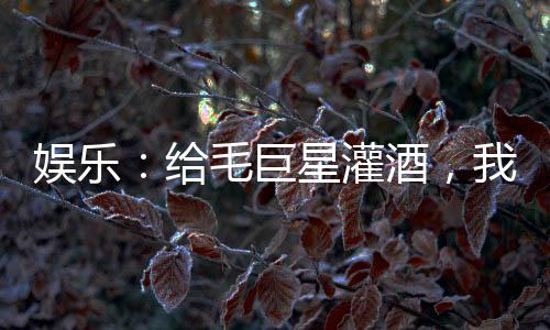 娛樂：給毛巨星灌酒，我爆火了！