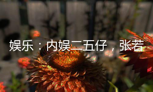 娛樂：內(nèi)娛二五仔，張若楠讓我鑿