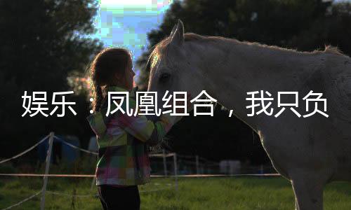 娛樂：鳳凰組合，我只負(fù)責(zé)摸魚！
