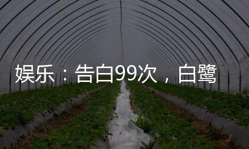 娛樂：告白99次，白鷺人設(shè)崩了