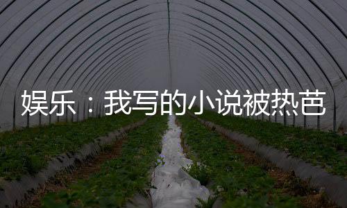 娛樂：我寫的小說被熱芭催更了！