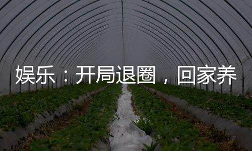 娛樂：開局退圈，回家養(yǎng)豬了！