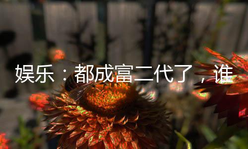 娛樂：都成富二代了，誰還當頂流