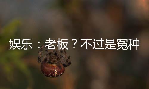 娛樂：老板？不過是冤種罷了！