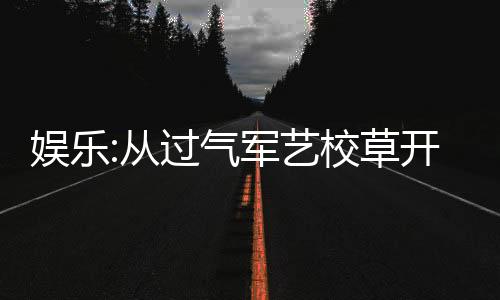 娛樂:從過氣軍藝校草開始