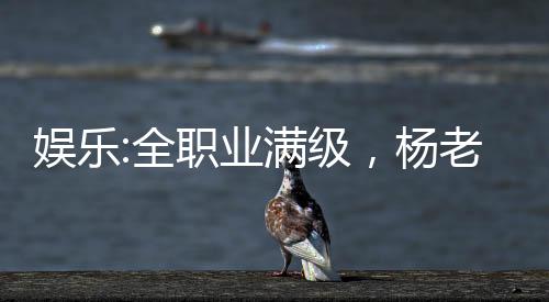 娛樂:全職業(yè)滿級，楊老板求蹭飯