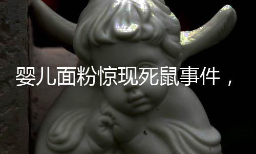 嬰兒面粉驚現(xiàn)死鼠事件，揭開質(zhì)量問題的面紗
