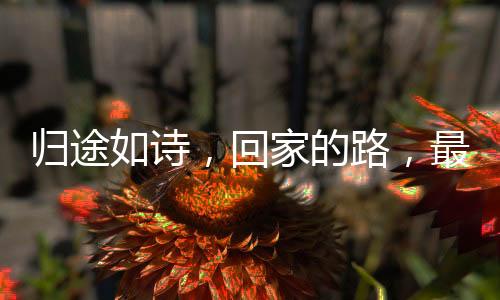 歸途如詩，回家的路，最美的風(fēng)景
