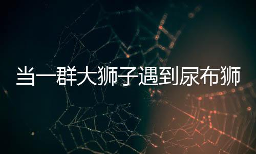 當(dāng)一群大獅子遇到尿布獅，一次奇妙的相遇