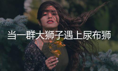 當一群大獅子遇上尿布獅，奇特現(xiàn)象引發(fā)關注