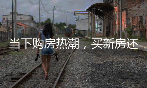 當(dāng)下購房熱潮，買新房還是二手房？多方考量引熱議