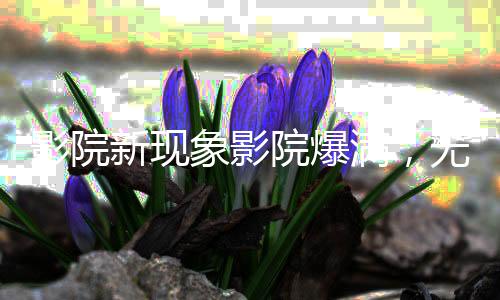 影院新現(xiàn)象影院爆滿，無座票開賣——觀影體驗(yàn)的新變革