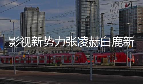 影視新勢力張凌赫白鹿新戲?qū)Υ?，誰將成為新一代熒幕霸主？
