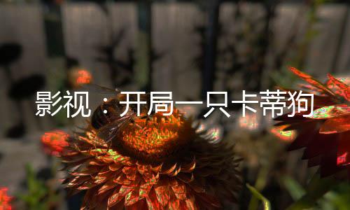 影視：開局一只卡蒂狗