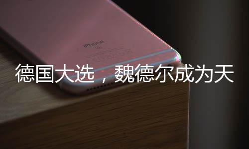德國大選，魏德爾成為天選之人？