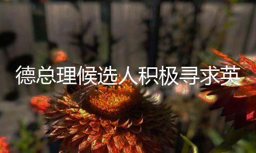 德總理候選人積極尋求英法核武器保護(hù)，引發(fā)國際社會關(guān)注