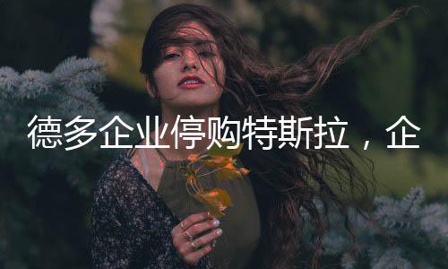 德多企業(yè)停購(gòu)特斯拉，企業(yè)決策背后的深度考量