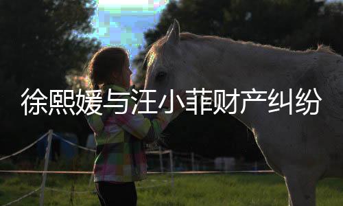 徐熙媛與汪小菲財產(chǎn)糾紛持續(xù)，涉及金額高達(dá)750萬，背后故事引人關(guān)注