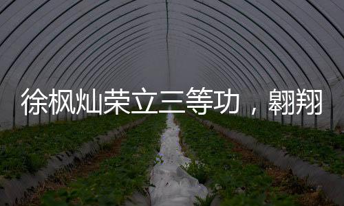 徐楓燦榮立三等功，翱翔藍天，功勛卓著
