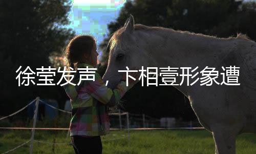 徐瑩發(fā)聲，卞相壹形象遭受毀滅性打擊