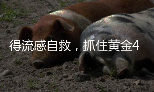 得流感自救，抓住黃金48小時(shí)，守護(hù)健康防線