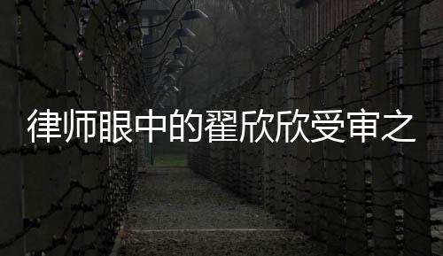 律師眼中的翟欣欣受審之路，其狀態(tài)欠佳