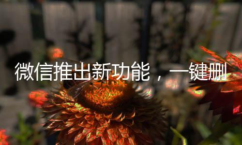 微信推出新功能，一鍵刪除單向好友，輕松維護好友關系