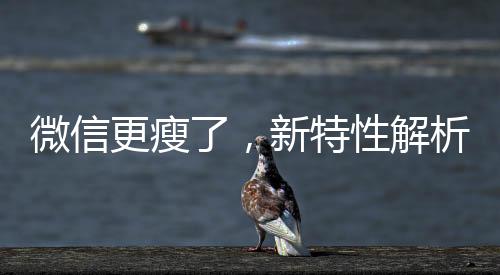 微信更瘦了，新特性解析與用戶體驗洞察