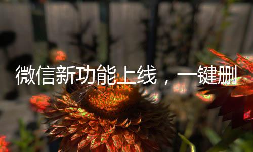 微信新功能上線(xiàn)，一鍵刪除單向好友，輕松維護(hù)社交關(guān)系