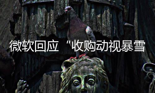 微軟回應(yīng)“收購動(dòng)視暴雪收益未達(dá)預(yù)期”報(bào)道稱消息不實(shí)